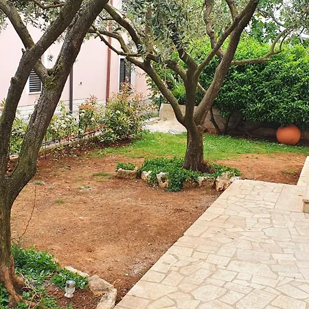Apartment Cintya Poreč