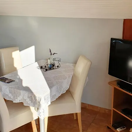 Cintya Daire Poreč